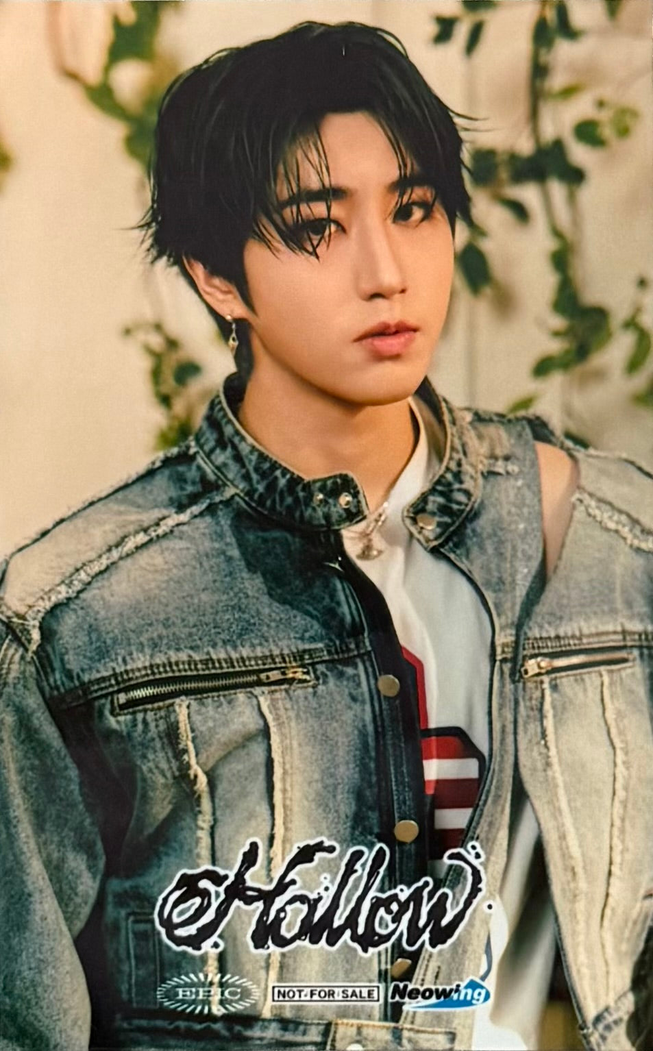 Stray Kids - 'HOLLOW' Neowing Pre-Order Benefit Photocards