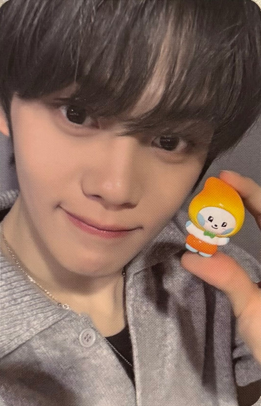 ZEROBASEONE -'ZERONI FRUITS EDITION' Line Friends Benefit Photocards