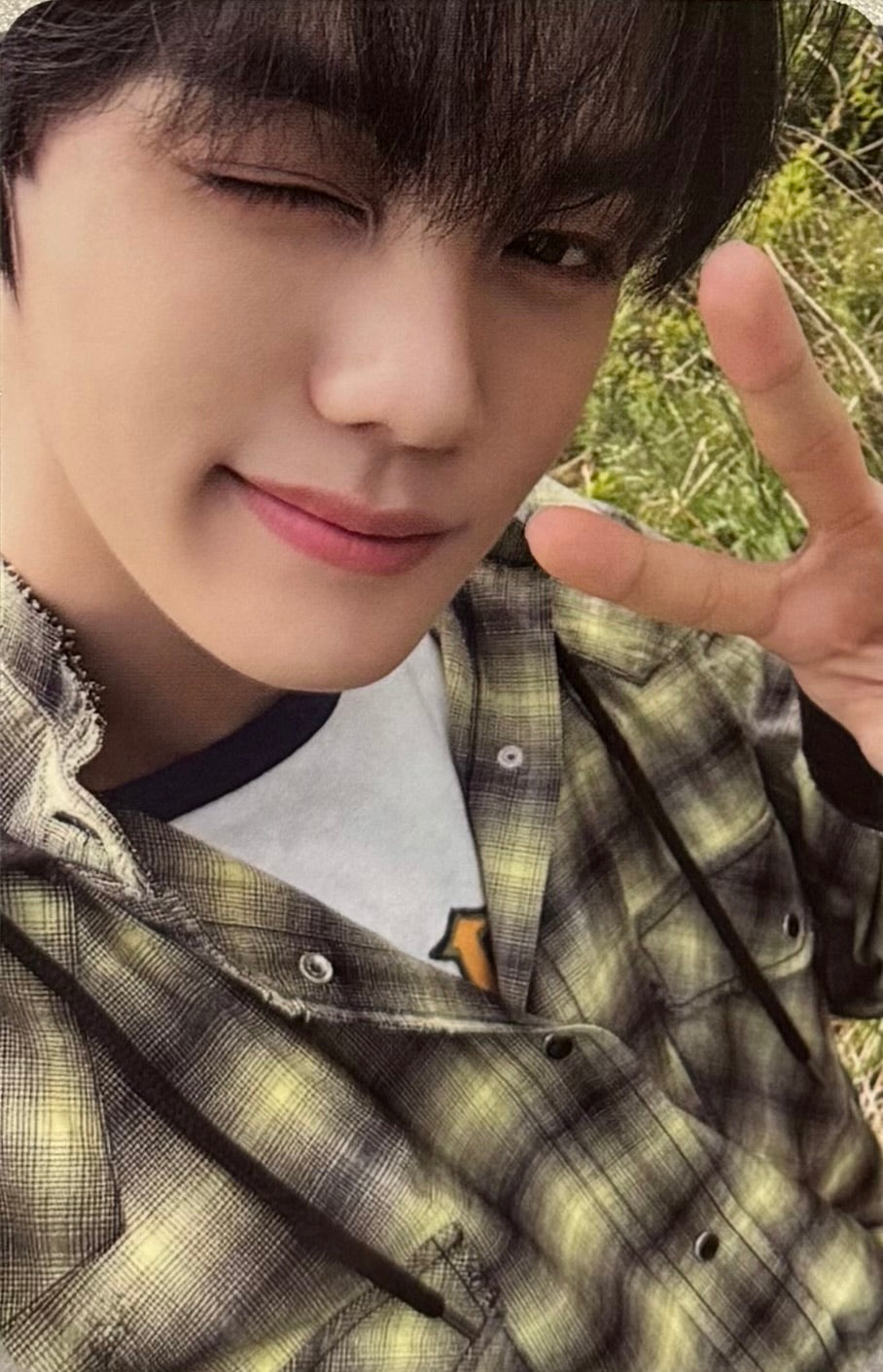 ZEROBASEONE - 'NEVER SAY NEVER' Benefit Photocards