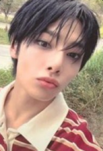 STRAY KIDS - "合 (HOP)" Music Korea Pre-Order Benefit Photocards