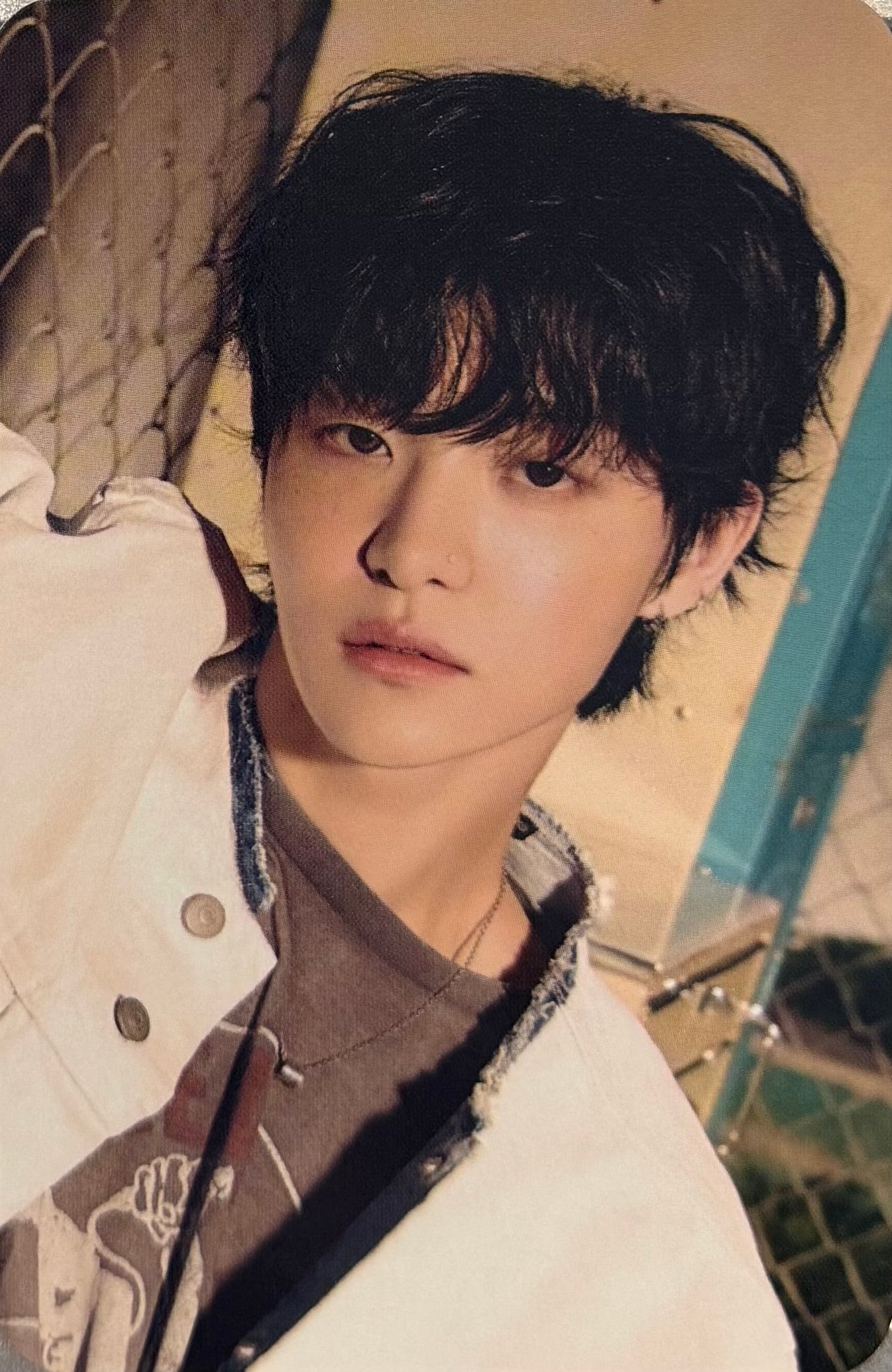 TREASURE - 'PLEASURE' MusicKorea Pre-Order Benefit Photocards
