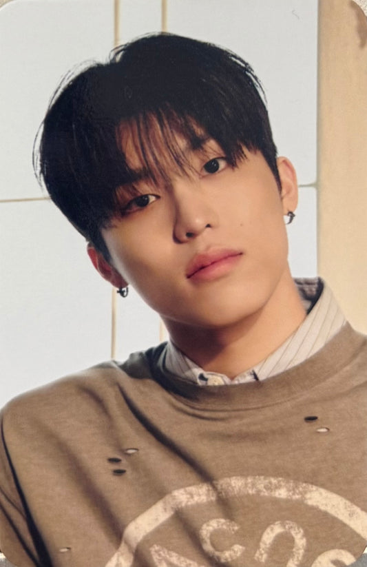 TREASURE - 'PLEASURE' MusicKorea Pre-Order Benefit Photocards