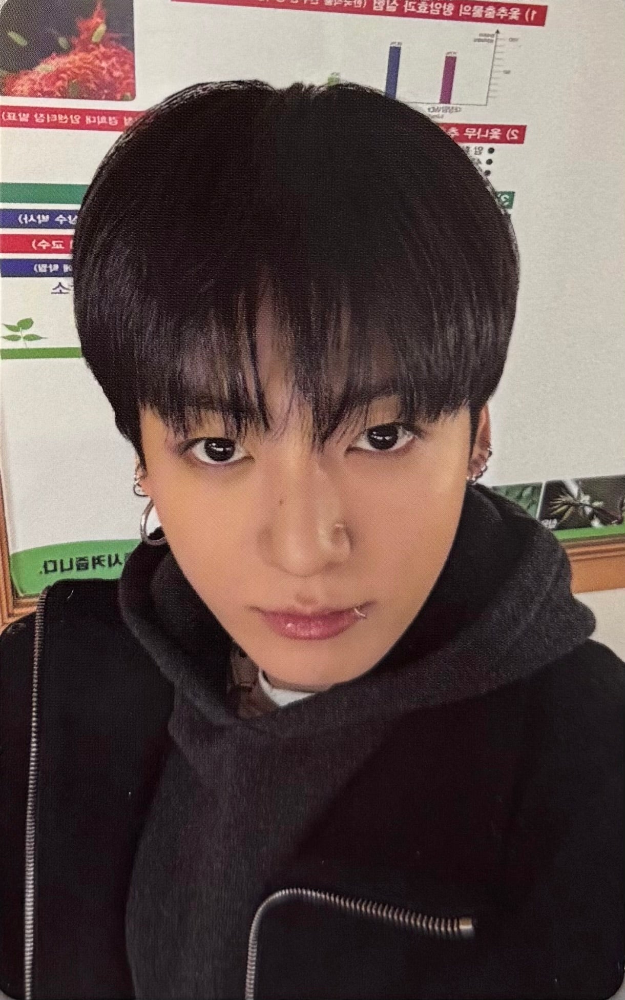 BTS - 'ARIRANG' Weverse Pre-Order Benefit Photocards