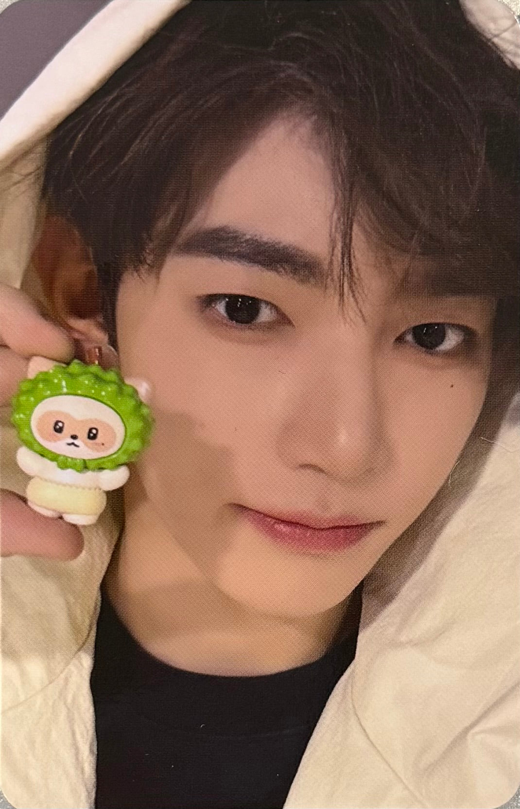 ZEROBASEONE -'ZERONI FRUITS EDITION' Line Friends Benefit Photocards