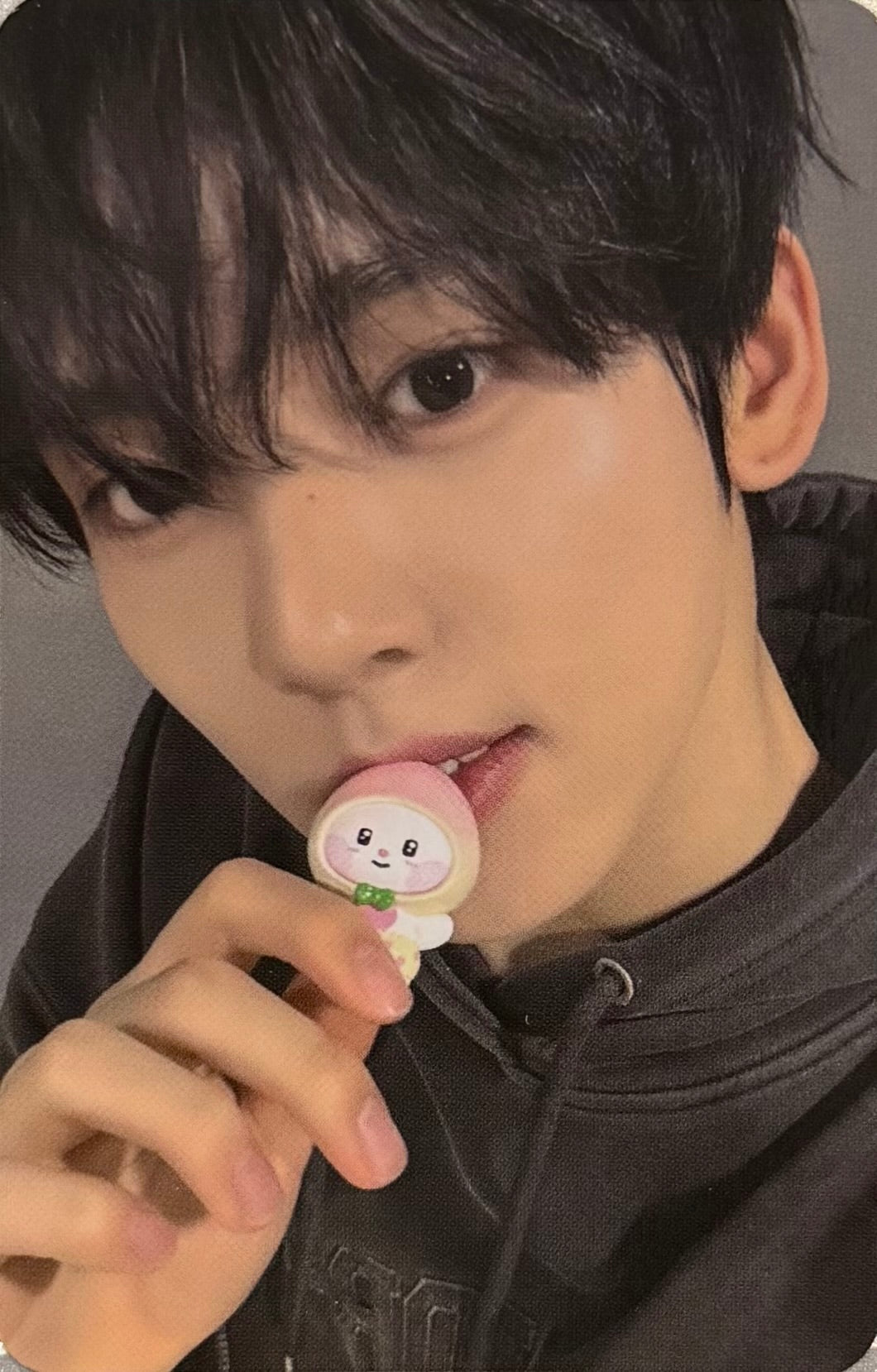 ZEROBASEONE -'ZERONI FRUITS EDITION' Line Friends Benefit Photocards