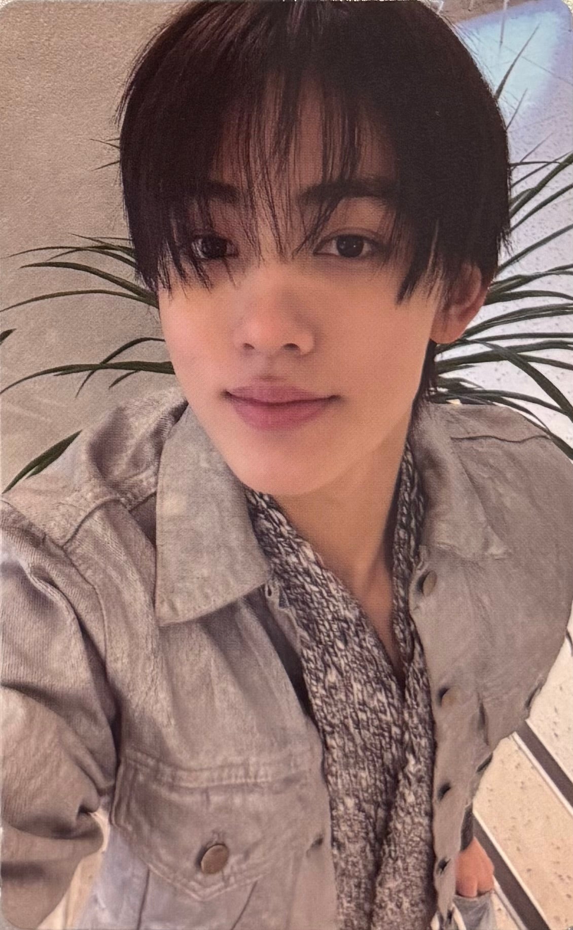 CORTIS - 'GREENGREEN' Weverse Gift Photocards