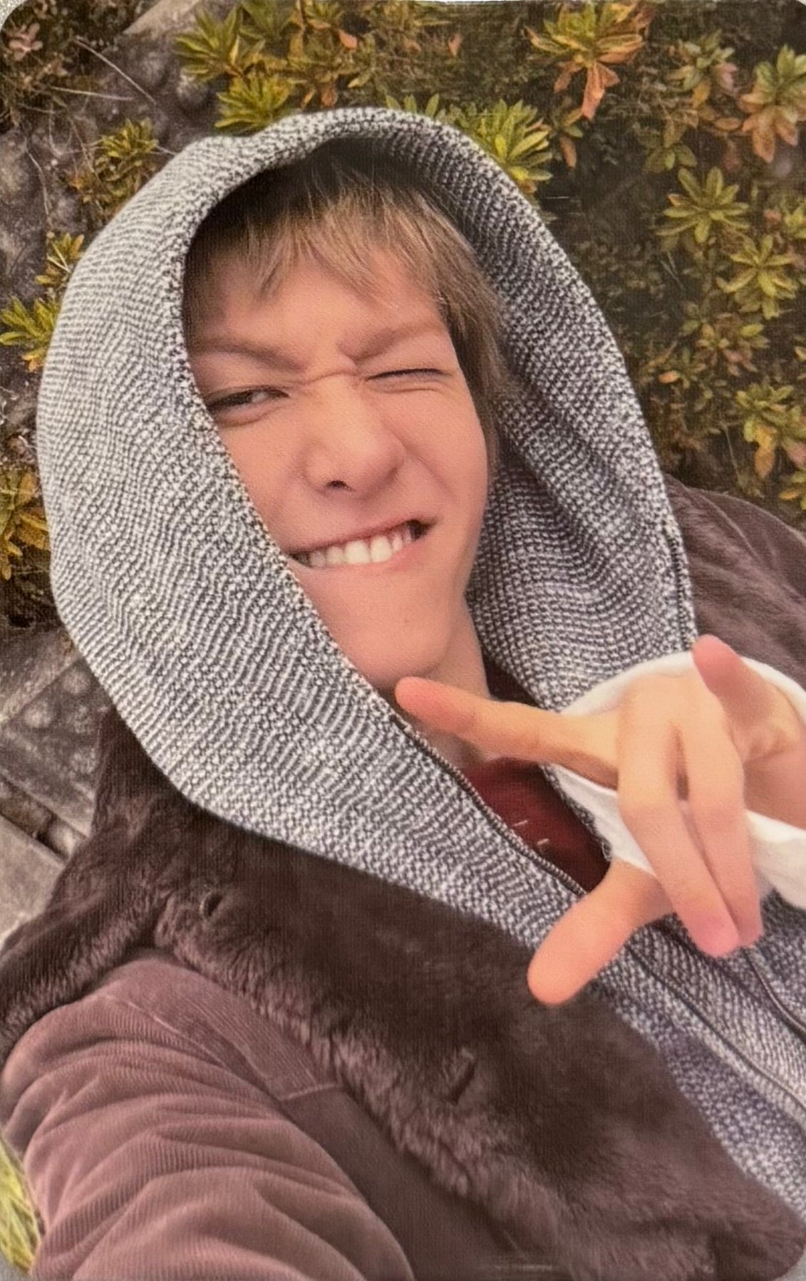 CORTIS - 'GREENGREEN' EVERLINE Lucky Draw Event Photocards