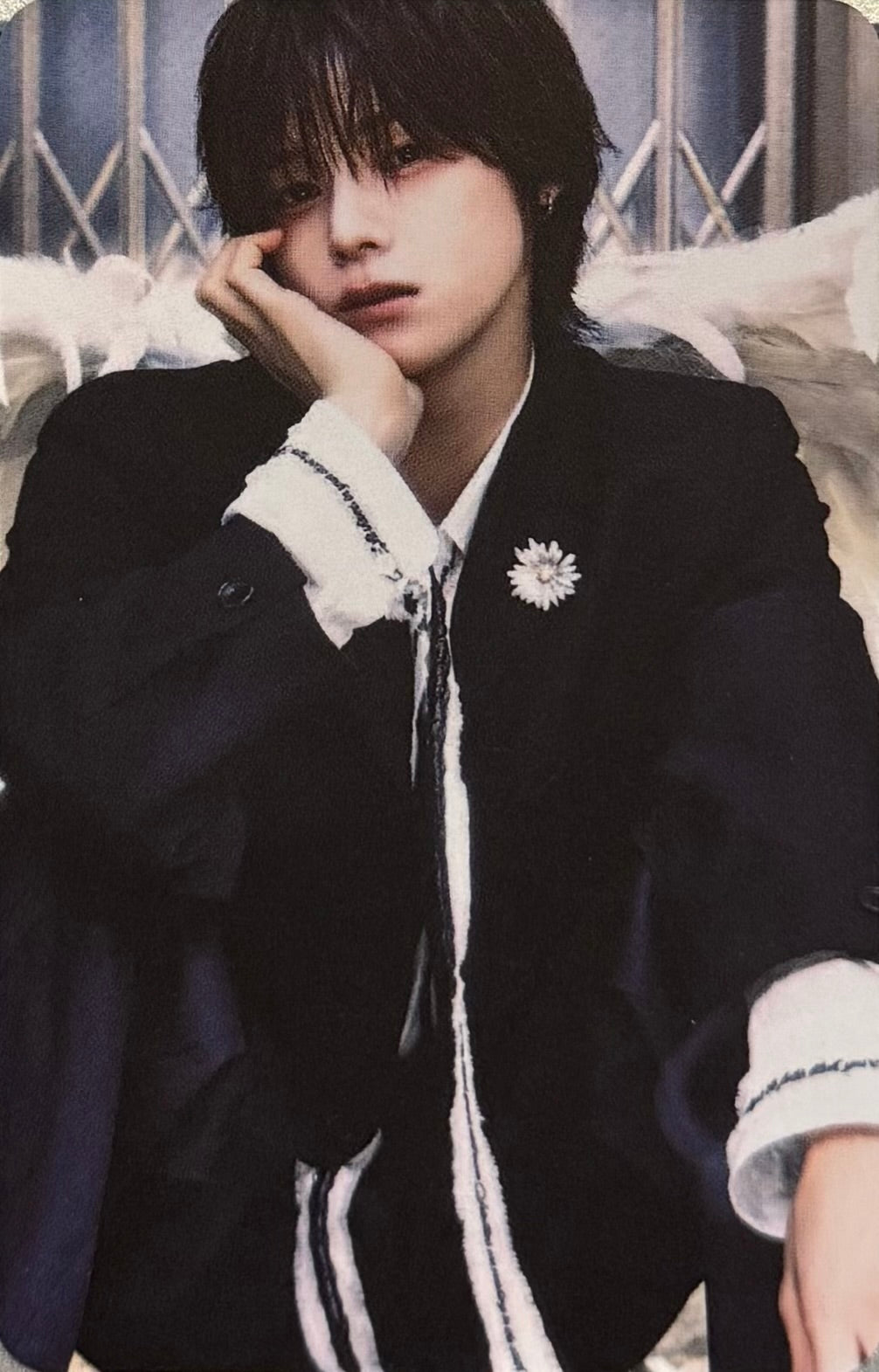 &TEAM - 'Back To Life' applemusic Pre-Order Benefit Photocards