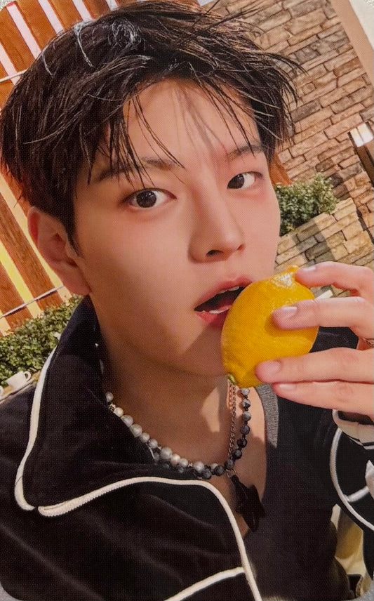 STRAY KIDS - 'DO IT' FANSHOP Pre-Order Benefit Photocards