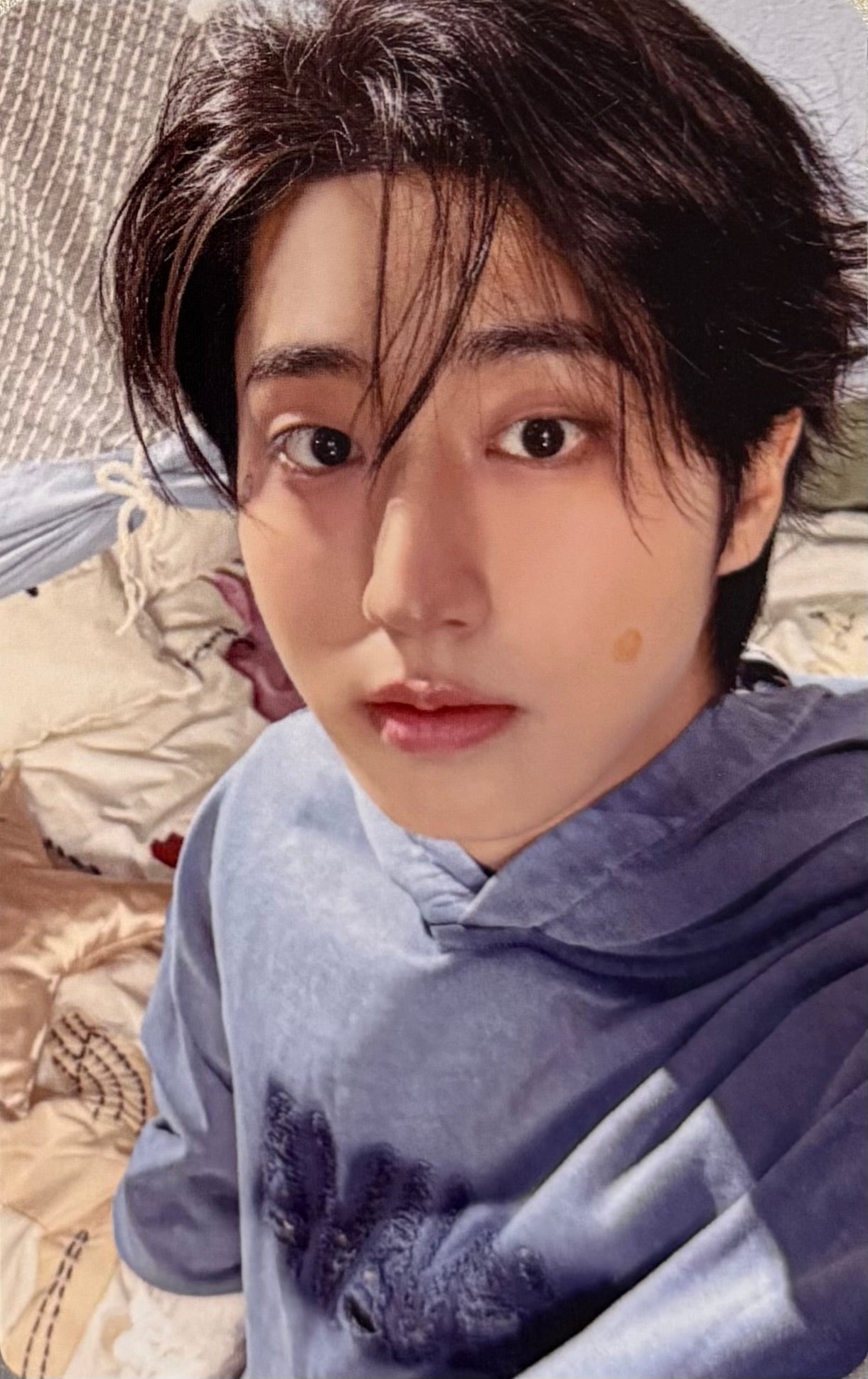 Stray Kids - 'STAY in Our Little House' Benefit Photocards