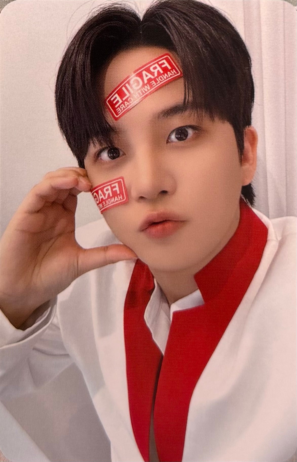 ATEEZ - 'ANITEEZ IN THE CALLING' Benefit Photocards