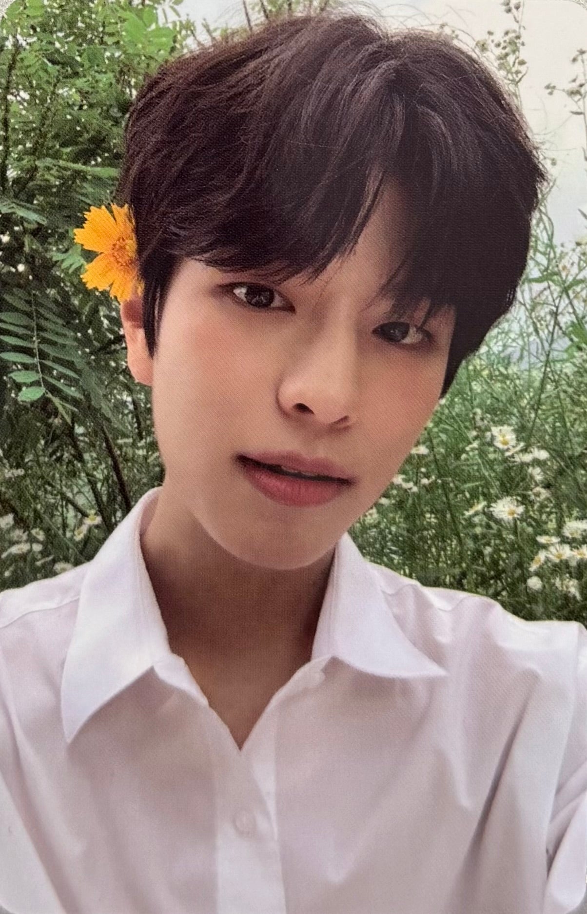 STRAY KIDS - 'NOEASY' First Pressing Beneift Photocards