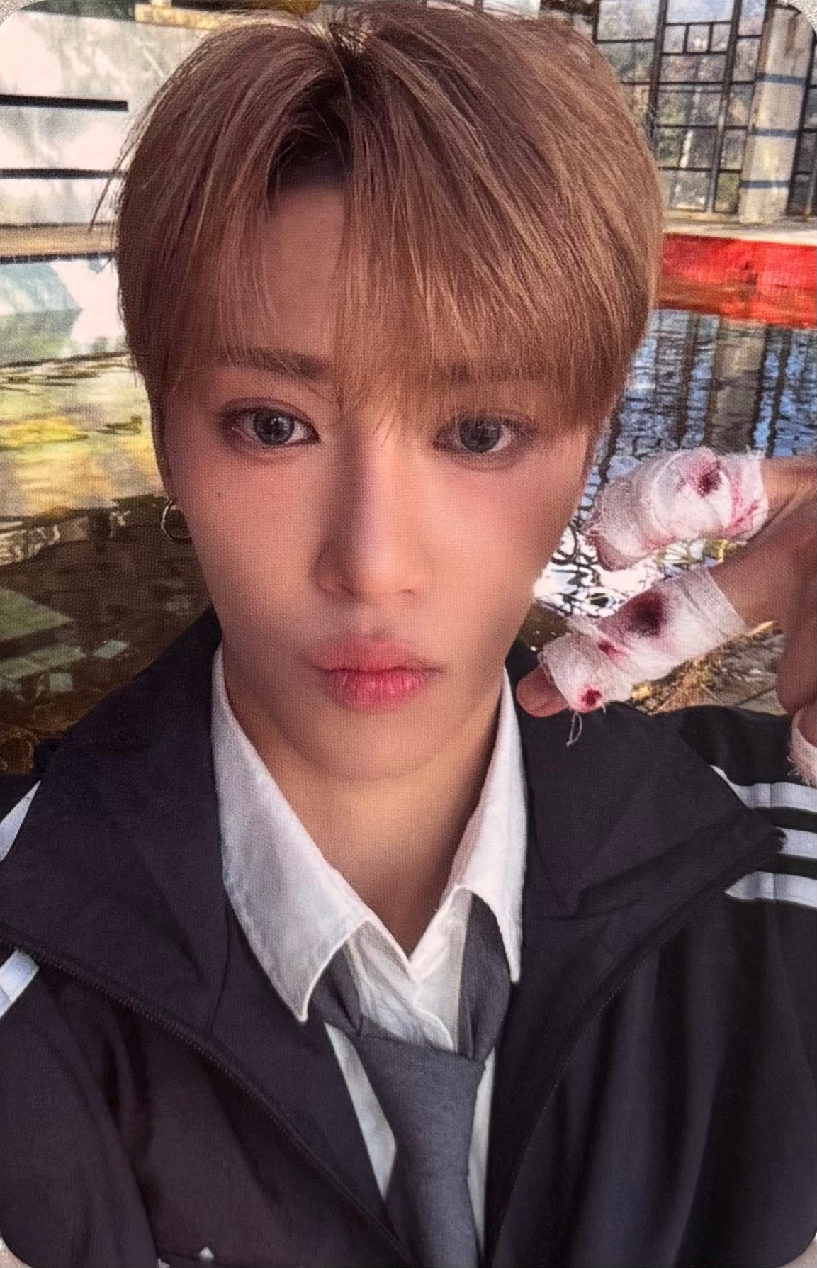 ALPHA DRIVE ONE - 'EUPHORIA' MUSICPLANT Pre-Order Benefit Photocards