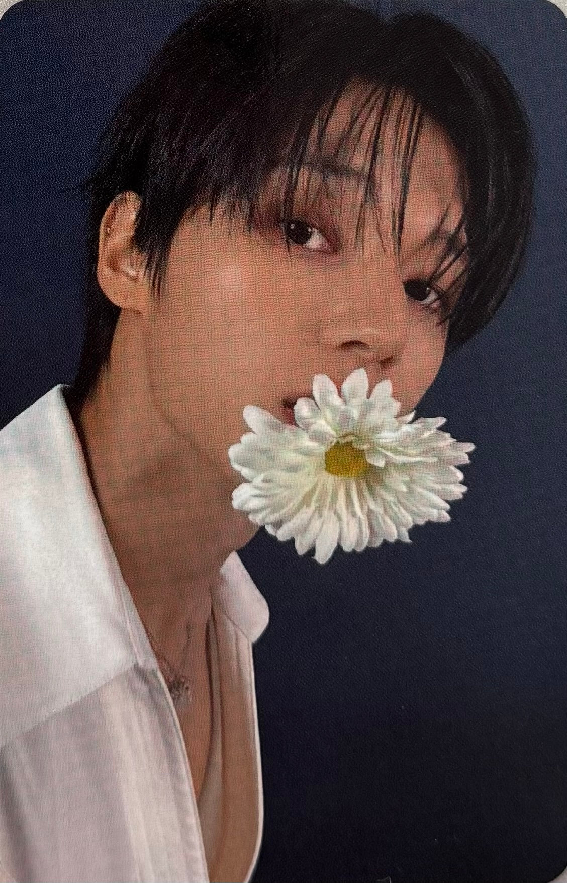 ATEEZ - 'Golden Hour : Part.4' AppleMusic Pre-Order Benefit Photocards