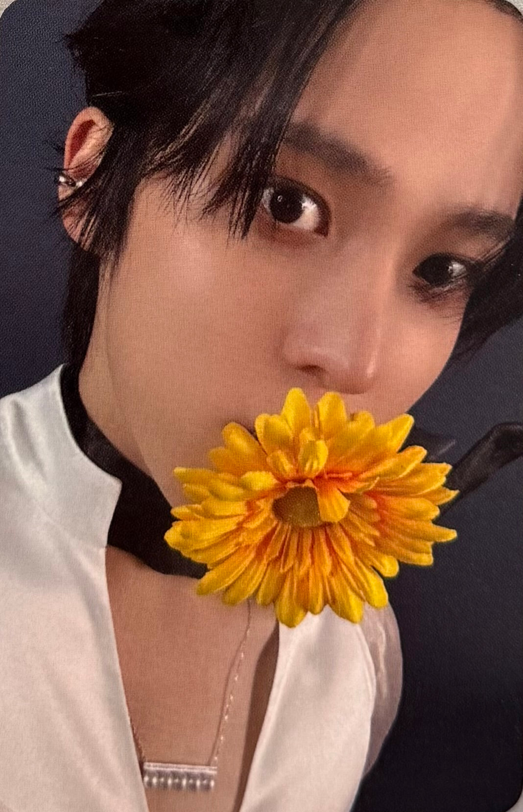 ATEEZ - 'Golden Hour : Part.4' AppleMusic Pre-Order Benefit Photocards