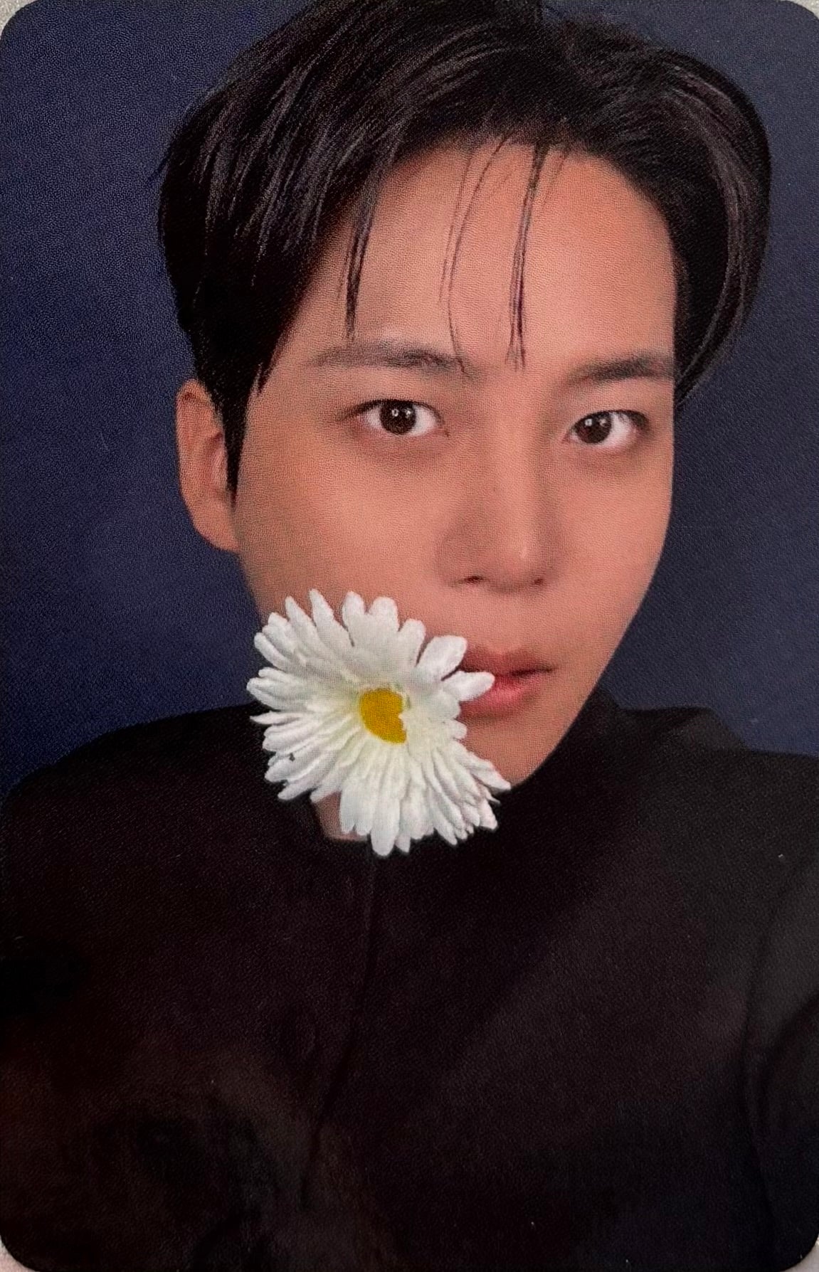 ATEEZ - 'Golden Hour : Part.4' AppleMusic Pre-Order Benefit Photocards