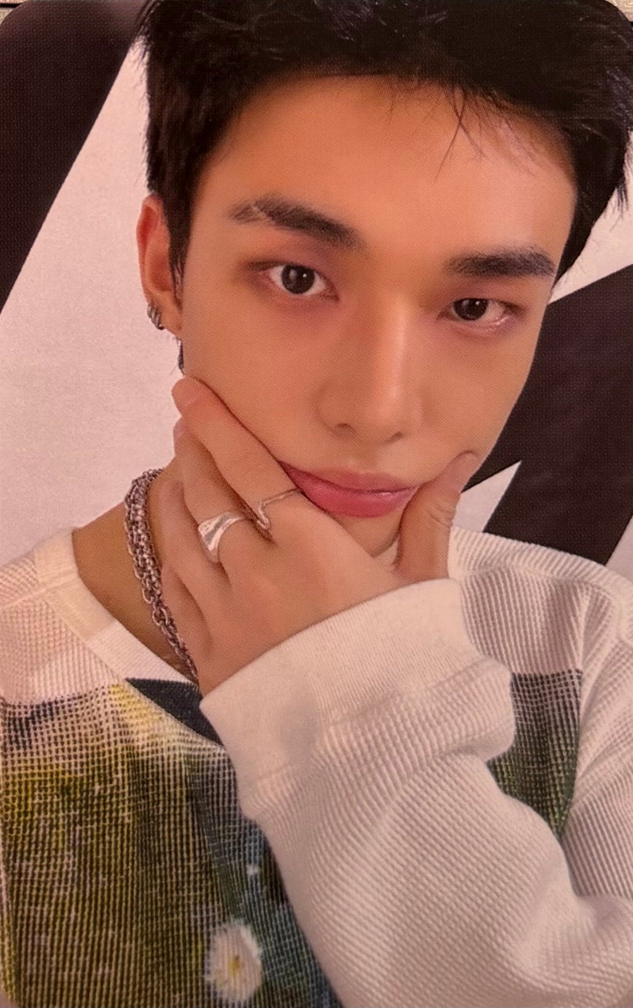 Stray Kids - 'dominATE : celebrATE OFFICIAL MD' Benefit Photocards