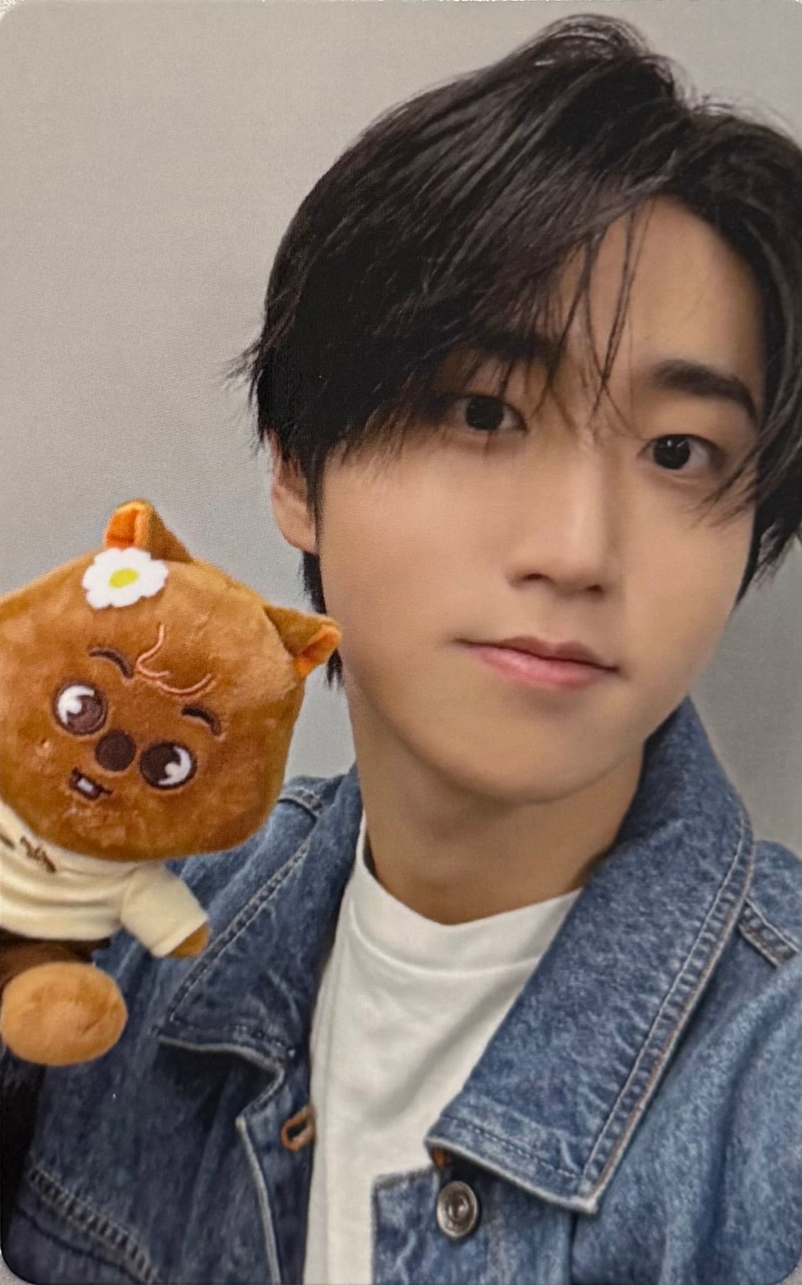 Stray Kids - 'ZOOTOPIA 2 SKZOO POP UP' Benefit Photocards