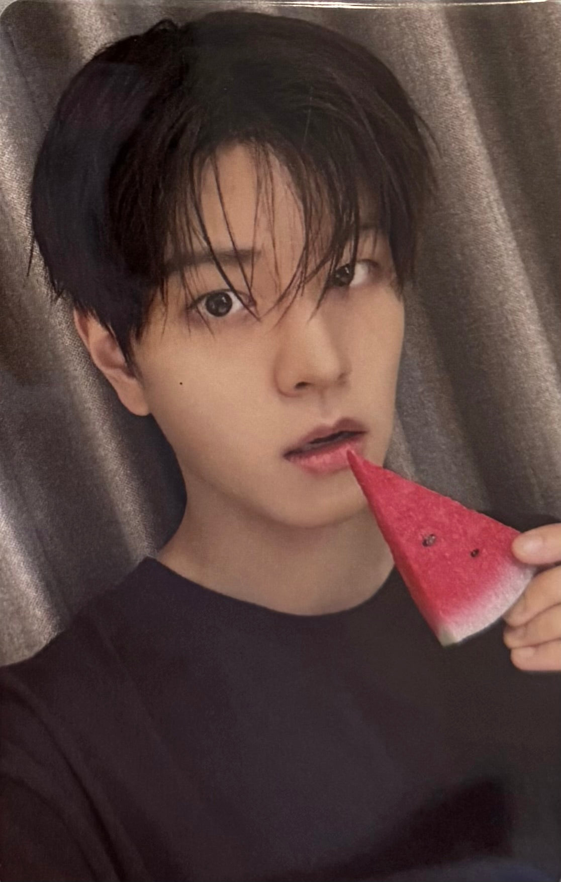 STRAY KIDS - 'THIS & THAT' FANS SHOP Pre-Order Benefit Photocards